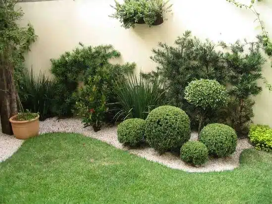 Jardim minimalista com buxinhos podados em formas arredondadas e plantas ornamentais.