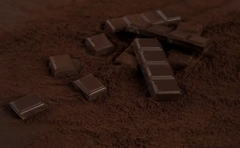 Pedaços de chocolate meio amargo espalhados sobre pó de cacau.