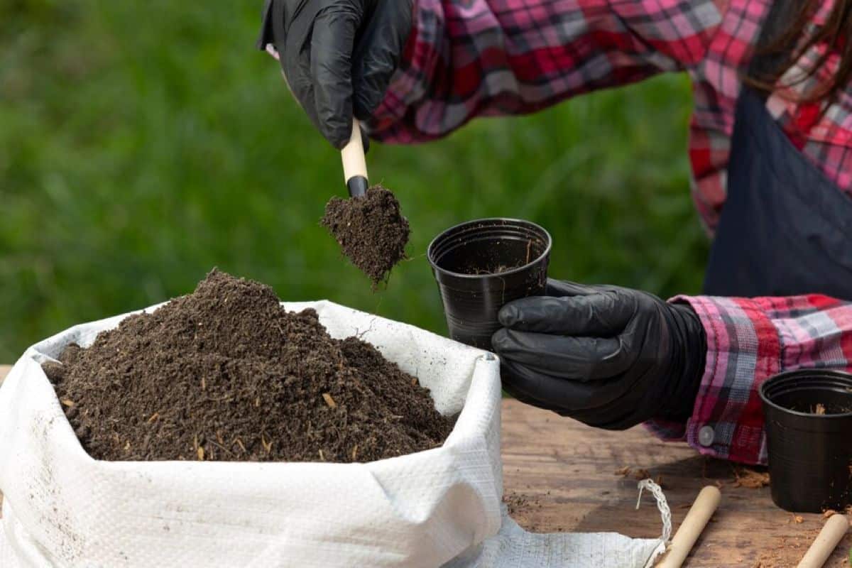 Jardineiro colocando terra em um vaso, preparando o solo para cultivo e plantio sustentável.