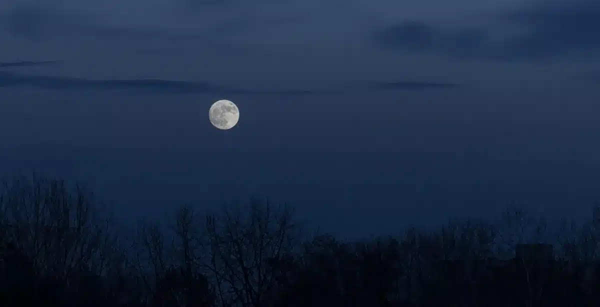 Lua cheia brilhando sobre a paisagem noturna com silhuetas de árvores.