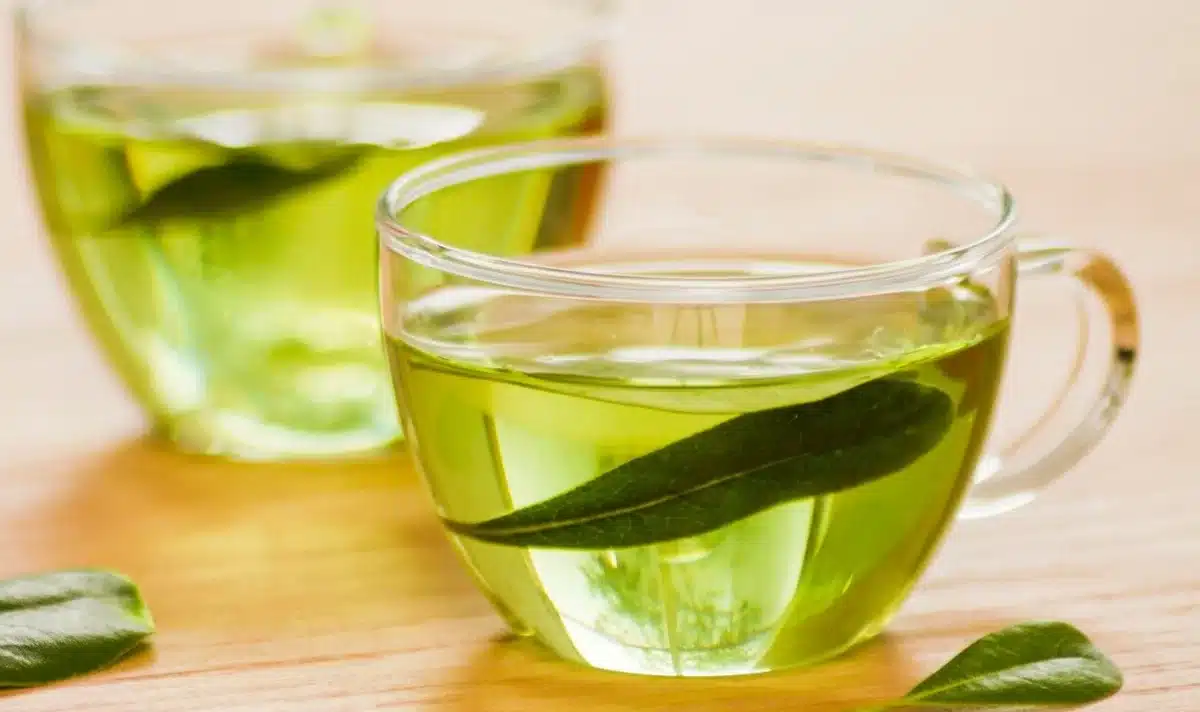 Xícara de chá verde fresco com folhas naturais.