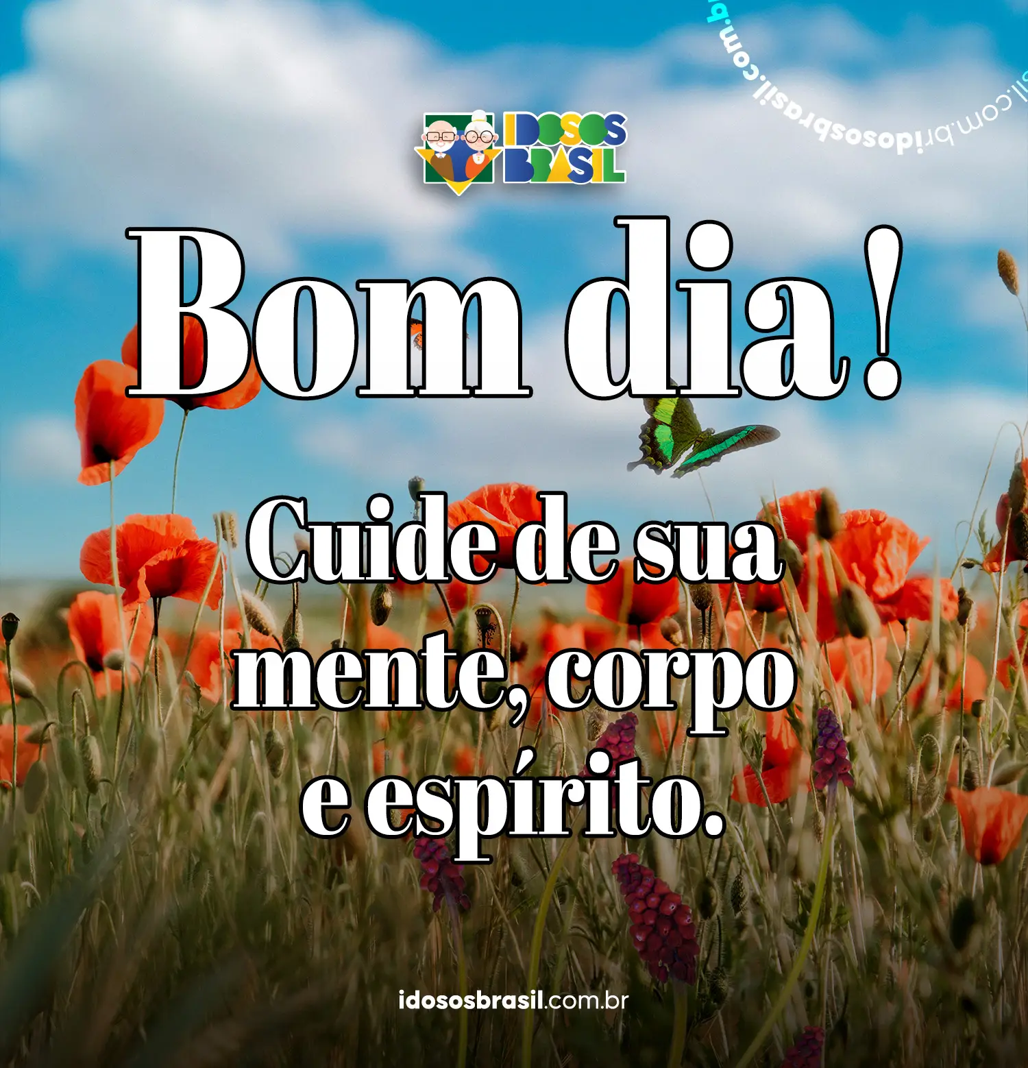 Mensagem de bom dia com borboleta e campo florido ao fundo.