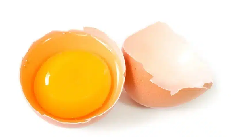 Gema de ovo em casca quebrada destacando a cor laranja intensa.