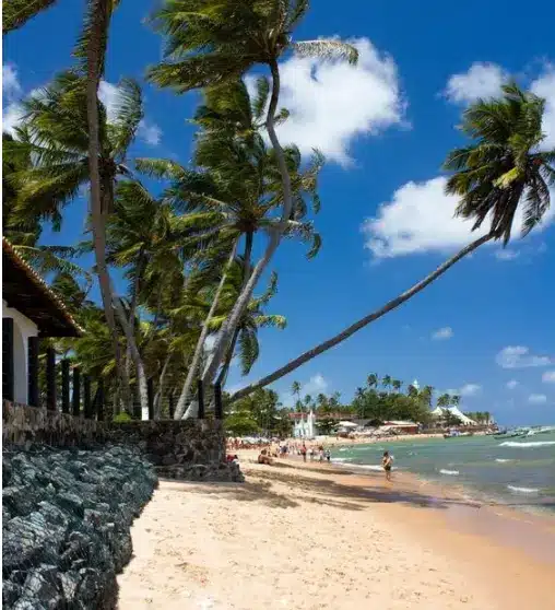 Explore a beleza da Praia do Forte Vista deslumbrante da Praia do Forte, com coqueiros e mar cristalino ao fundo.