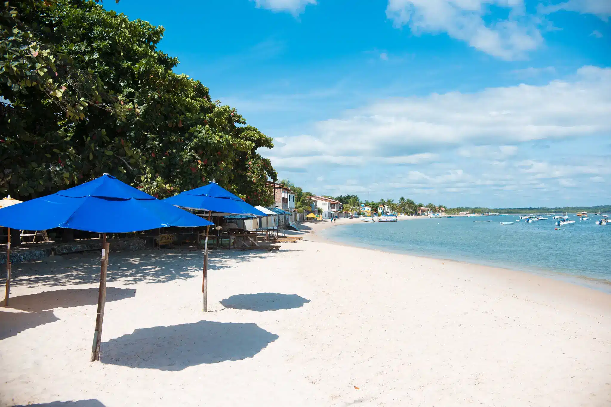 Praia tranquila na Bahia, com céu azul e guarda-sóis azuis.