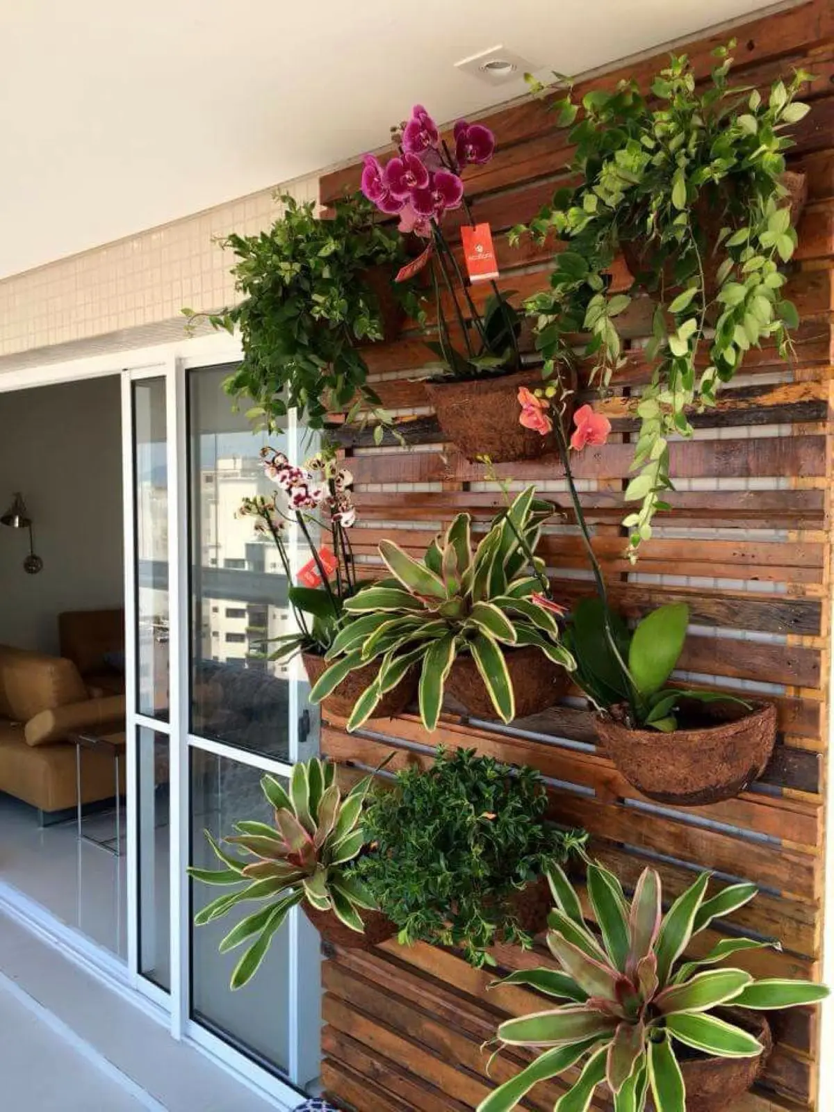 Jardim vertical com diversas plantas ornamentais em uma varanda aconchegante.