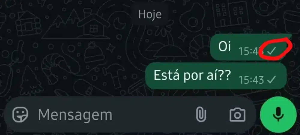 Mensagem enviada no WhatsApp com dois tiques verdes, indicando que a mensagem foi entregue e lida.