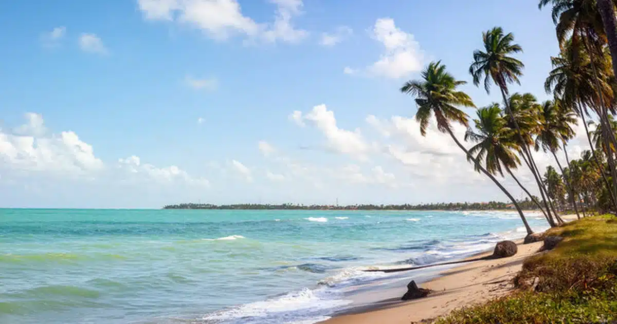Vista da Praia dos Carneiros, em Pernambuco, com coqueiros e águas cristalinas ao fundo.