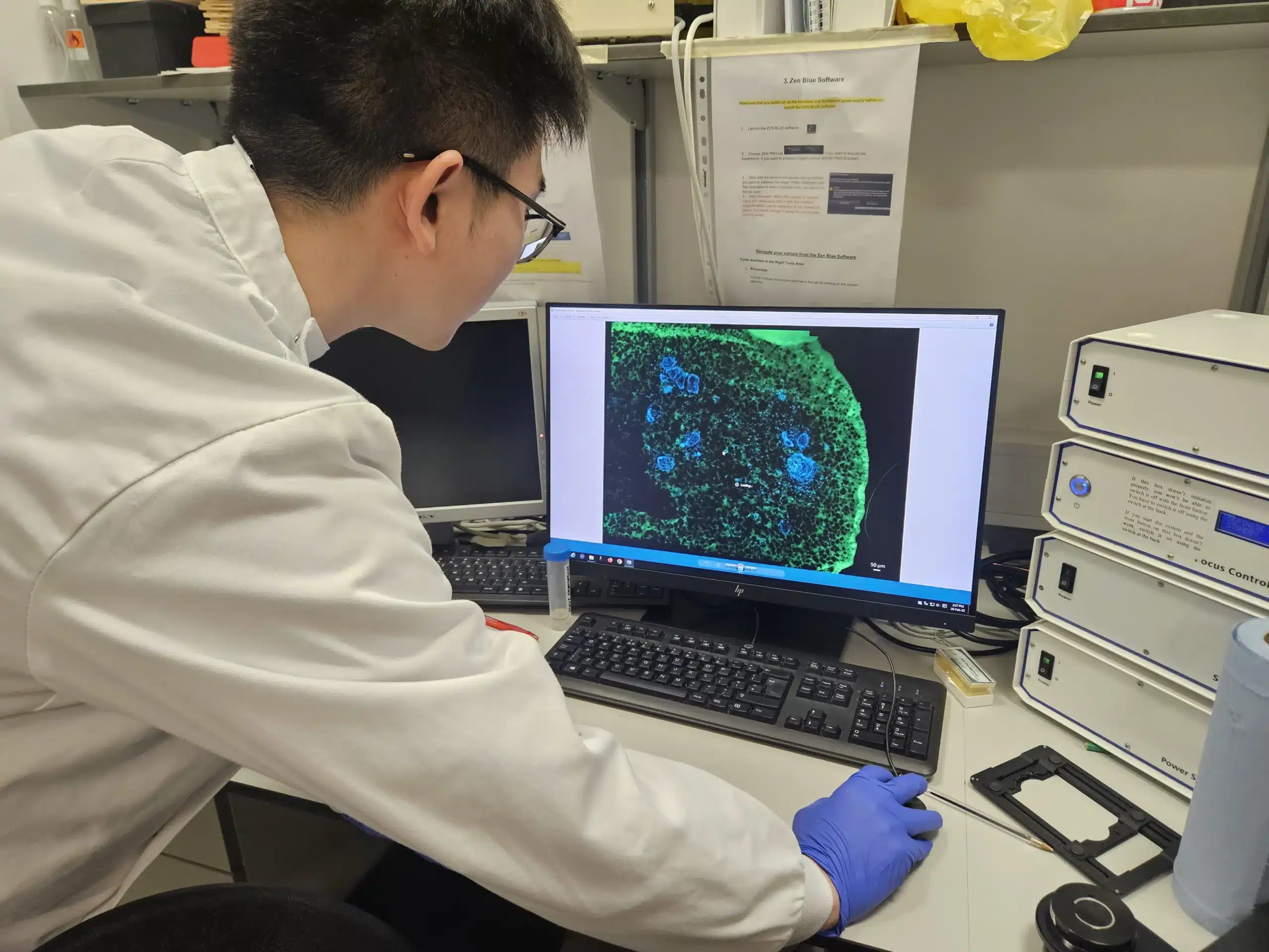 Analise de celulas dentárias para criação do novo dente.