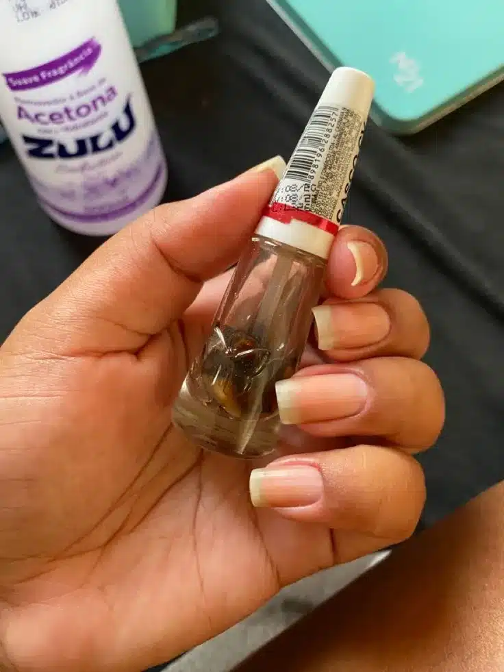 Base fortalecedora caseira para unhas feita com alho e cravo-da-índia.