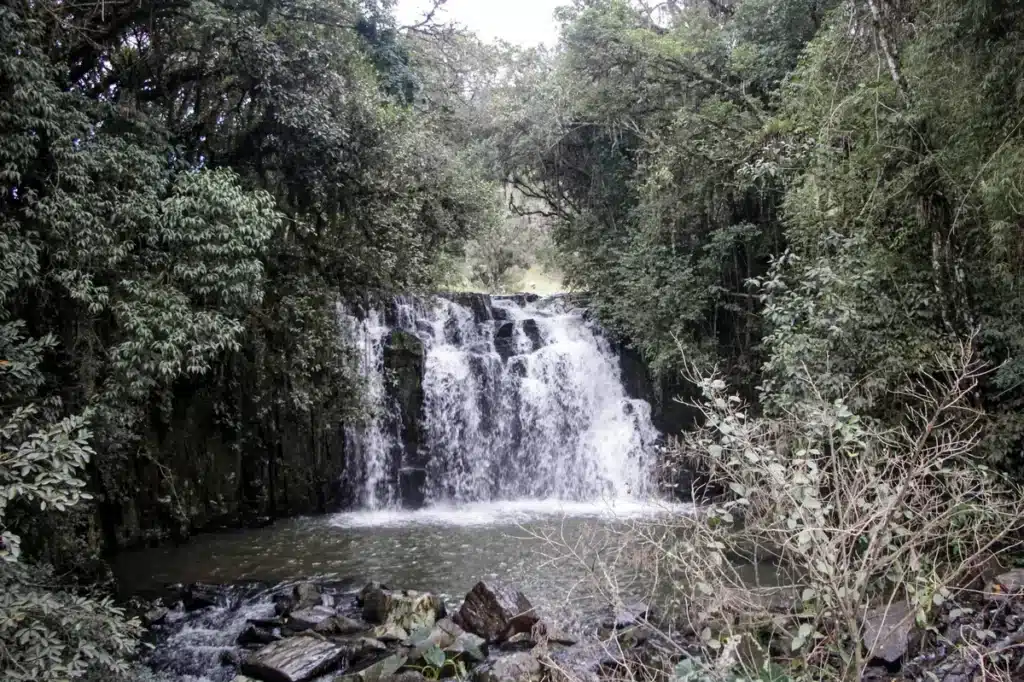 Cachoeira cercada por natureza em Leoberto Leal, Santa Catarina