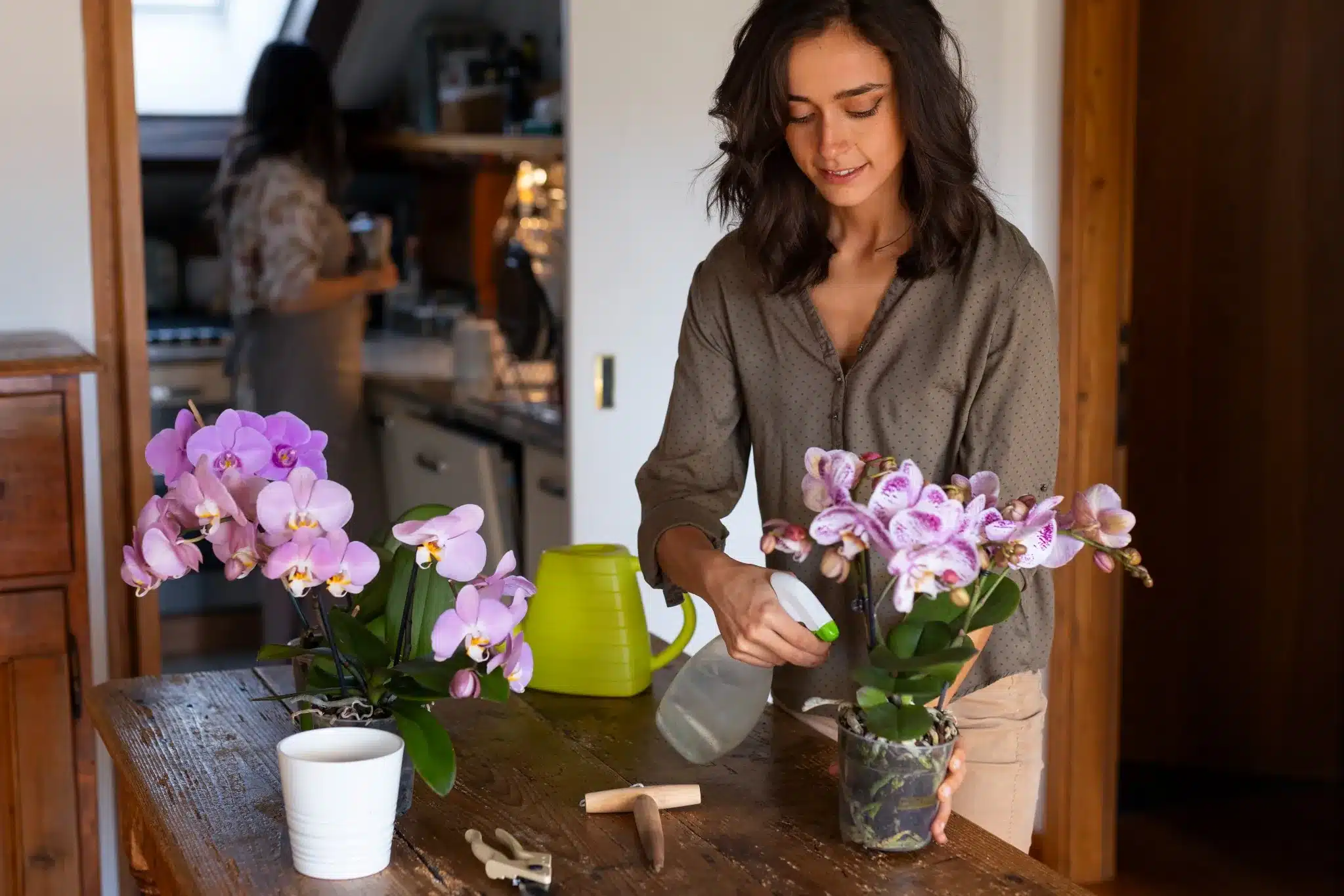Mulher borrifando água nas folhas de uma orquídea lilás em ambiente interno