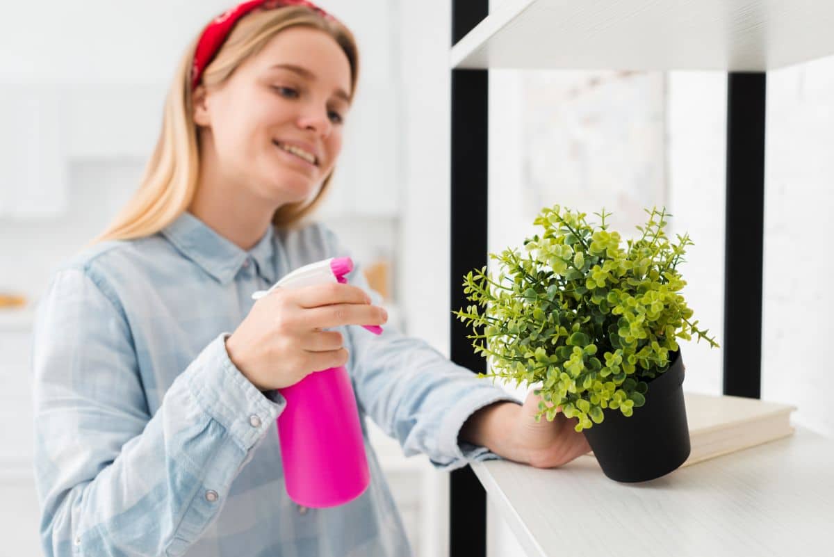 Mulher regando planta com um pulverizador rosa em casa, com plantas verdes em um vaso preto.