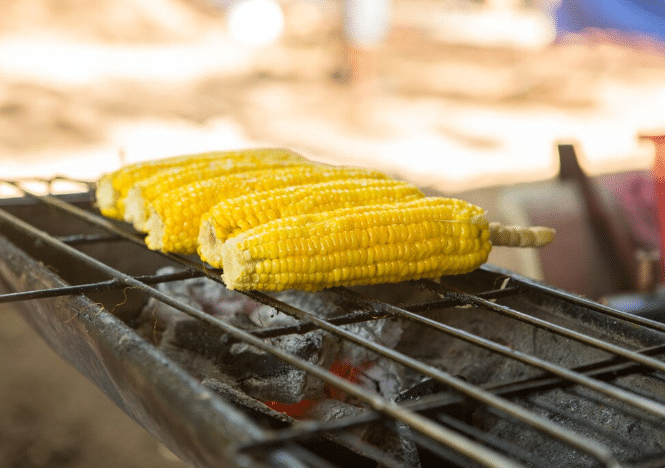 Milho assado na brasa, uma delícia das festas juninas.