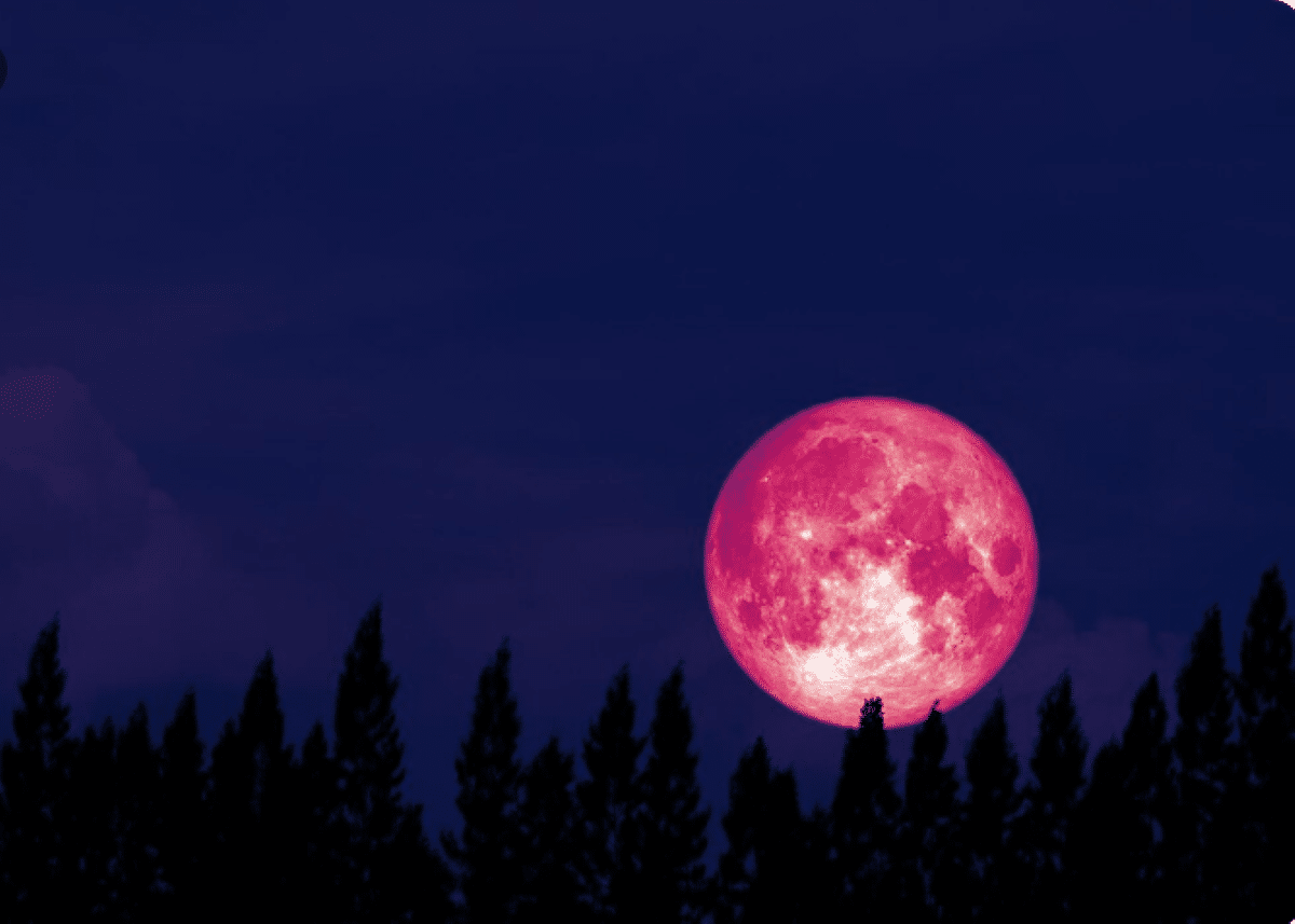 Imagem da Lua de Morango, fenômeno raro que ocorre em junho, destacando seu tom avermelhado no céu noturno.