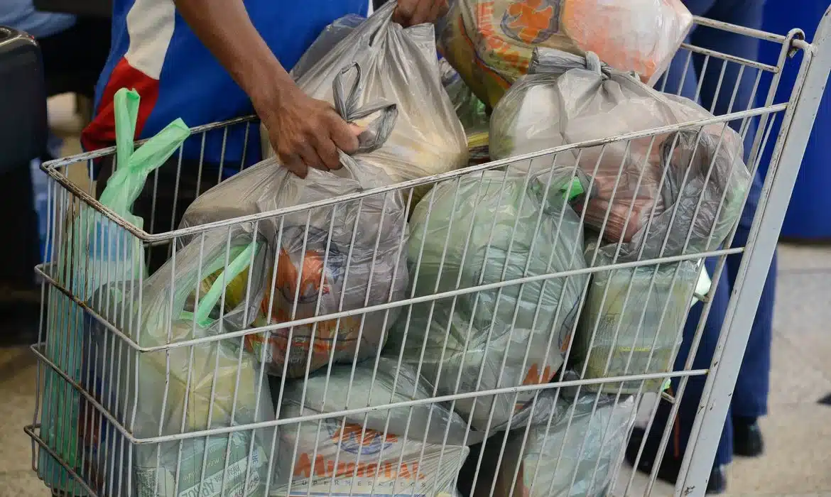 Pessoa segurando sacolas de alimentos em um carrinho de supermercado, com diversas compras visíveis.