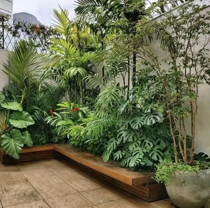 Jardim tropical com folhagens exuberantes e costela de Adão em destaque