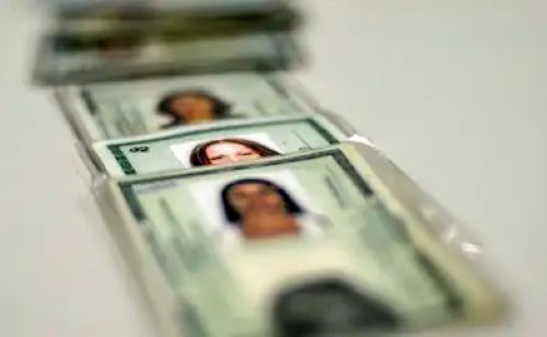 Imagem de várias carteiras de identidade (RG) alinhadas, com foco nas fotos dos documentos.