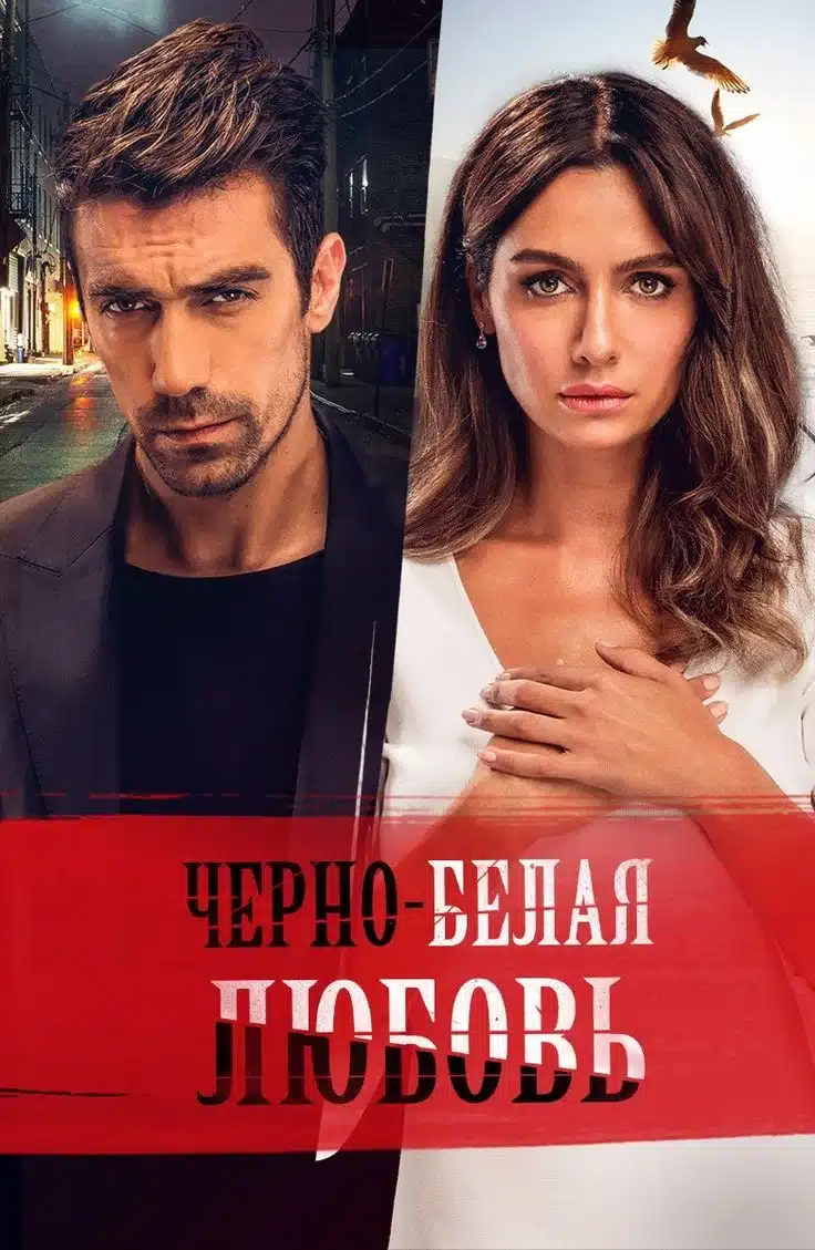 Capa da série O Preço da Paixão Capa da série turca Siyah Beyaz Aşk, com dois personagens principais, um homem em um cenário sombrio e uma mulher em um fundo claro.