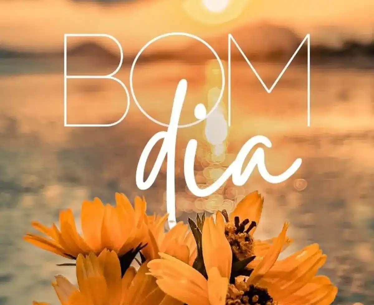 Mensagem positiva de bom dia com flores e o nascer do sol, para alegrar o início do dia.