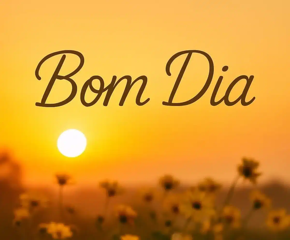 Imagem de um lindo amanhecer com flores e o texto 'Bom Dia' em destaque.