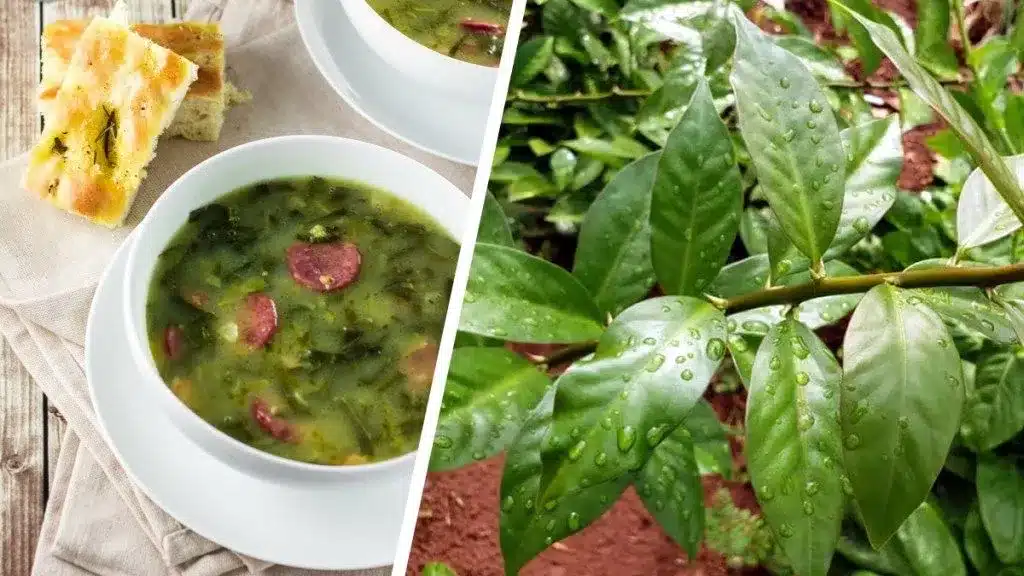 Caldo verde com ora-pro-nóbis, acompanhado de pão de alho.
