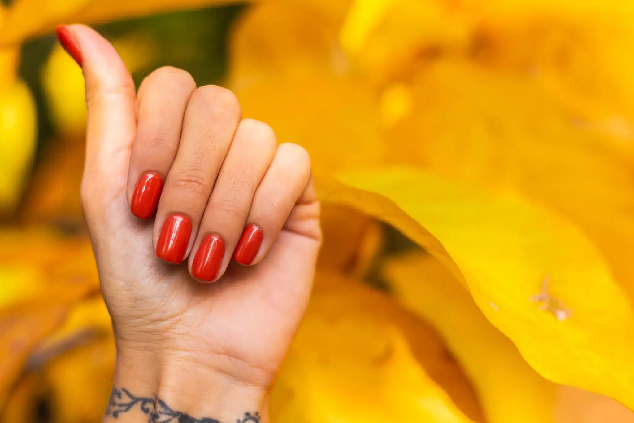 Mão feminina com esmalte vermelho e fundo de folhas amarelas vibrantes