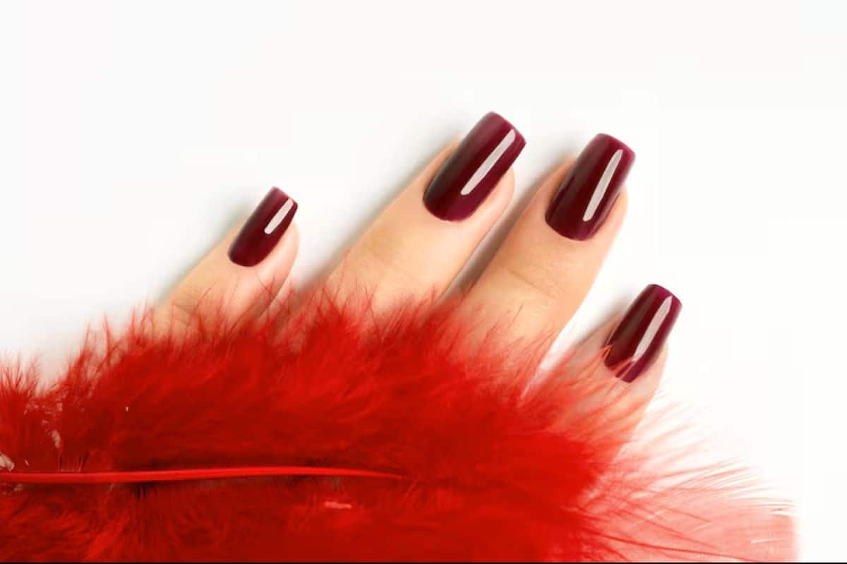 Mão com unhas longas pintadas com esmalte vermelho escuro (vinho ou bordô) e uma pena vermelha.