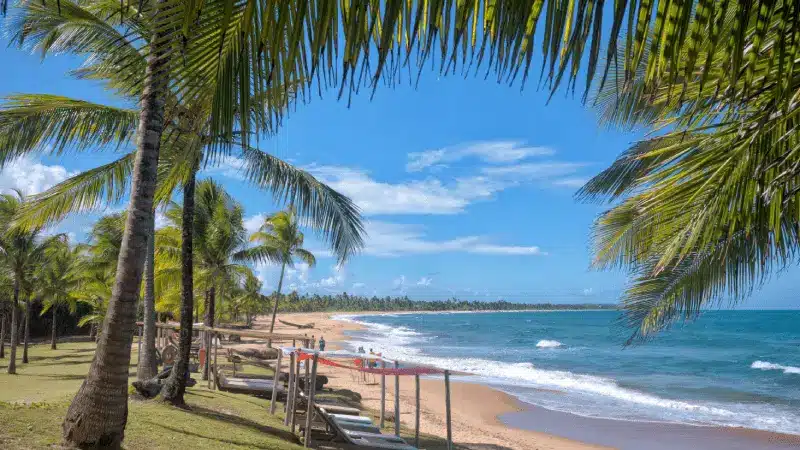 Vista paradisíaca da praia da Península de Maraú, na Bahia, com águas calmas e vegetação exuberante.