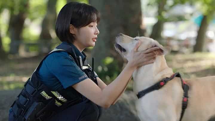 Cena do dorama coreano "Dog Knows Everything" (O Cão Sabe Tudo), onde uma policial faz carinho em um cachorro Labrador. A trama envolve amizade e mistério.