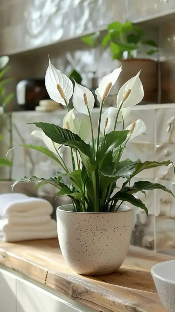 Lírio-da-paz em vaso, uma planta purificadora, decorativa e fácil de cuidar, com flores brancas e folhas verdes, ideal para ambientes com pouca luz.
