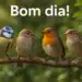 Quatro passarinhos em um galho com a frase 'Bom dia!' no topo