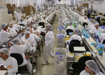 Funcionários com uniformes brancos produzem alimentos em linha de montagem em 2026