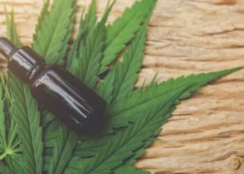 Frasco de óleo de cannabis sobre folhas verdes representa o uso medicinal da maconha após regulamentação da Anvisa em 2026.