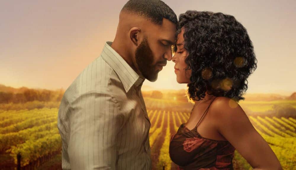 Um homem e uma mulher encostando as testas em um momento romântico e reflexivo, com um vasto vinhedo dourado ao fundo durante o pôr do sol.