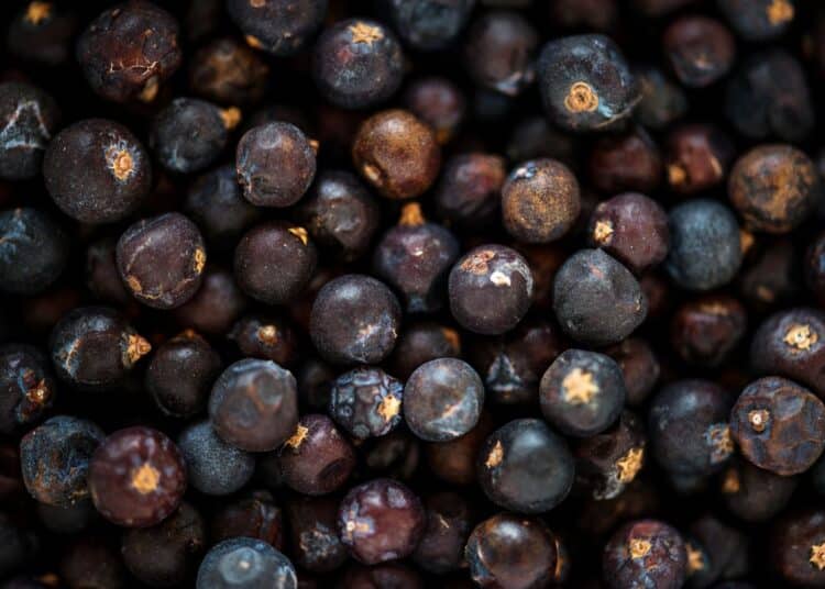 Close-up de cascas de jabuticaba escuras e secas em uma tigela, mostrando a textura e os detalhes, ideais para preparar chá ou farinha para baixar o colesterol.