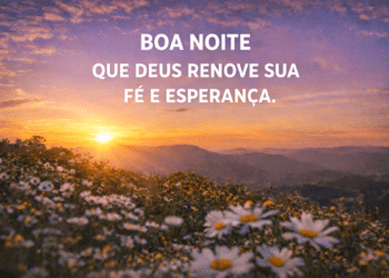 Pôr do sol dourado sobre campo de margaridas com frase motivacional.