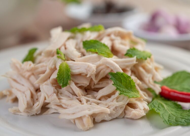 Frango desfiado servido em prato branco com folhas de hortelã