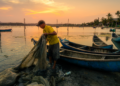 Pescador recolhendo rede ao pôr do sol.